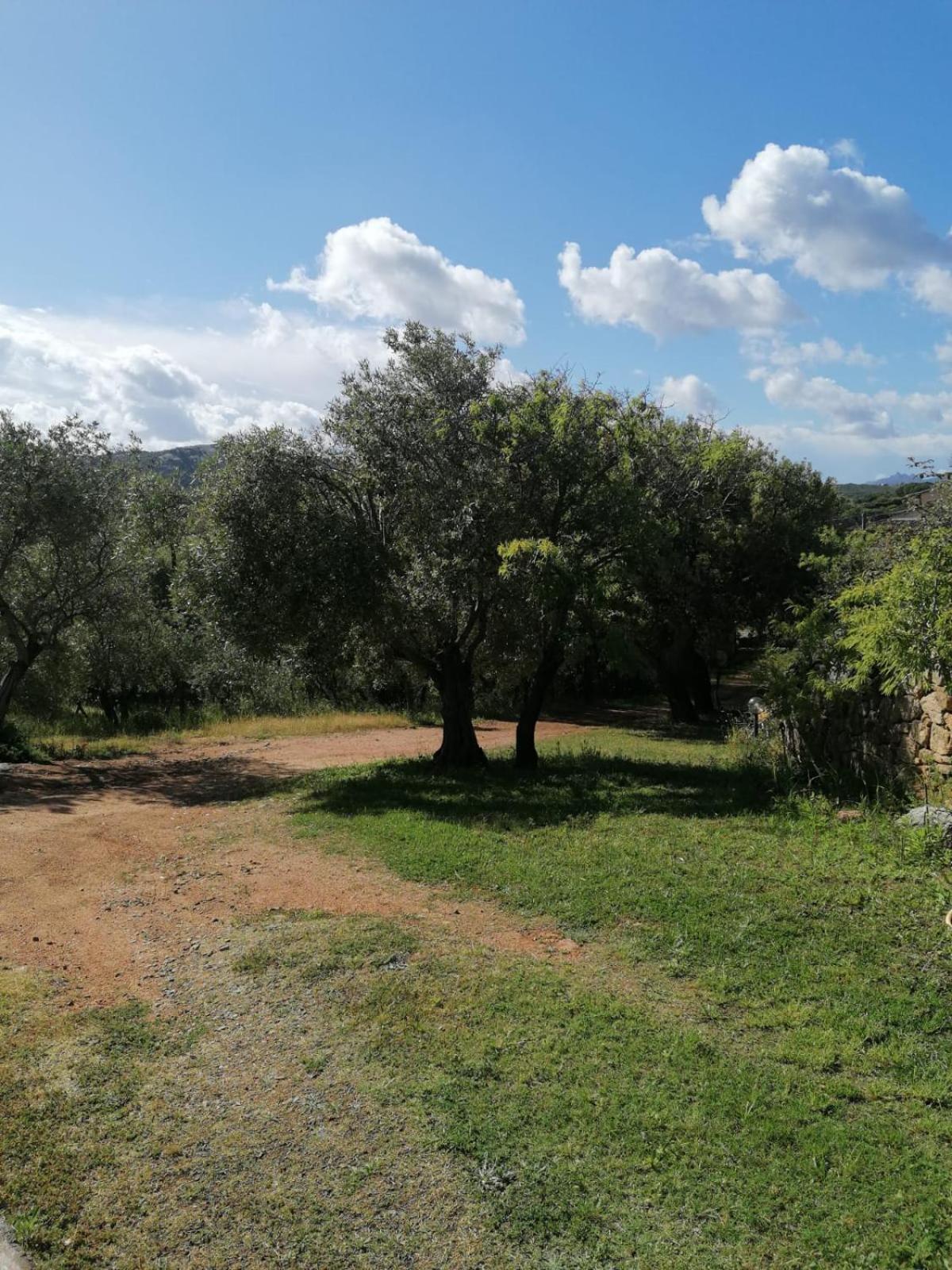Casa Orecchioni Arzachena Luaran gambar